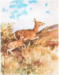 Tawny vendte sig og flygtede og opfordrede Rusty til at følge hende (farve litho)