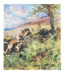 Den gamle kronhjort lagde sig i Rustys seng, mens den yngre hjort tog afsted, med jagtene på jagt (farve litho)