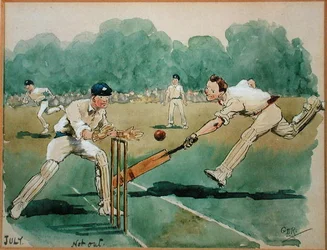 Juli måned: Cricket (pen & blæk og akvarel på papir)