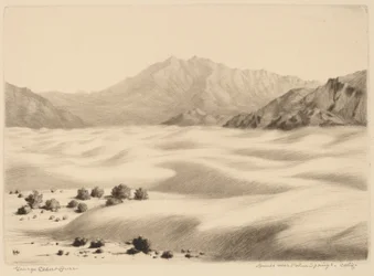 Klitter nær Palm Springs, Californien (nr. 2)
