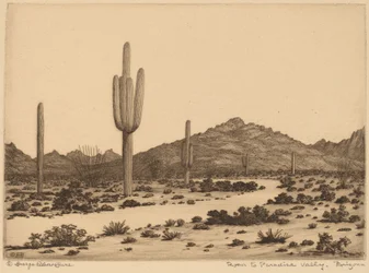 Vejen til Paradise Valley, Arizona