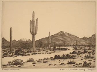 Vejen til Paradise Valley, Arizona