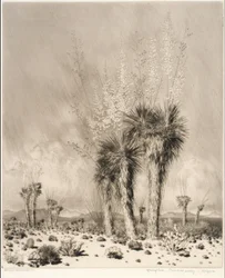 Forår, Paradise Valley, Arizona