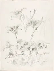 Uden titel (Liljer og vedbend) (Glecoma Hederacea)