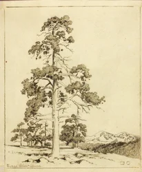 Uden titel (overførselstegning til tryk)