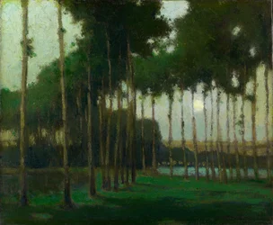 Moonlight Landscape (olie på lærred)