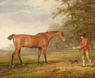 En brun hest, der nærmes af en staldkarl med foder og grime, 1789