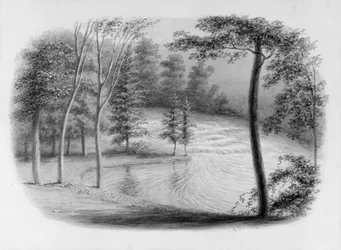 A Brook fra Hosack Album,.