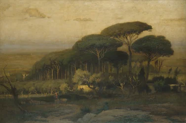 Pinjelund ved Villa Barberini