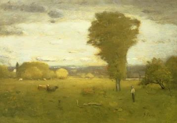 Solbelyst græsgang