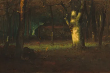 Solnedgang i skoven, 1891.