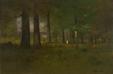 Skovens udkant