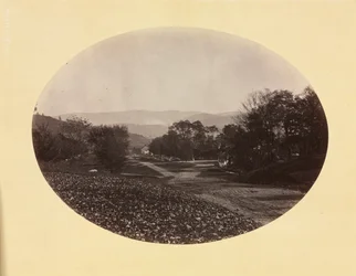 En vej i Williamstown, ca. 1870.
