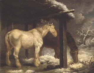 Shire Horses ved et stråtækt shelter i et stormfuldt vinterlandskab