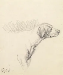 Studie af en hund, 1794