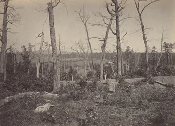 Battle Ground of Resacca, Georgia nr. 3, 1860