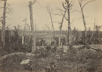 Slagmarken ved Resaca, Georgia, nr. 3,1864 (foto)