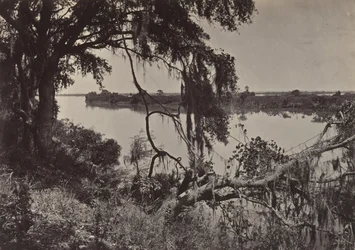 Savannah River, nær Savannah, Georgia, 1860