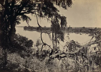 [Savannahfloden, nær Savannah, Georgia]