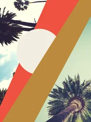 LA Sunshine (digital)