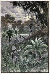 Illustration af George Roux til Jules Vernes bog "The Aerien Village" (1901), Hetzel edition/Extraordinary Voyages, Known and Unknown Worlds. Udsigt over en afrikansk skov (Congo).