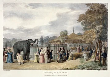 Zoologisk have, Regent
