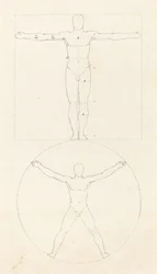 Cirkel og firkant af den menneskelige figur