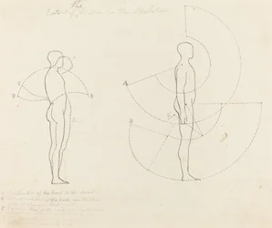 Bevægelsens omfang vist i to figurer