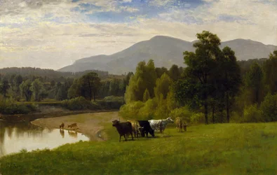 Græsmarker, 1867 (olie på papir om bord)
