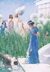 Barnet blandt tyrolerbuskene, fra The Bible Picture Book udgivet af Thomas Nelson, ca. 1950