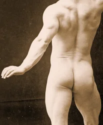 Eugen Sandow i klassisk antik græsk-romersk positur, detalje af DGC 1073442, ca. 1894