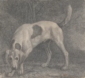 En rævehund på duften