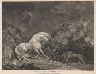 En hest skræmt af en løve