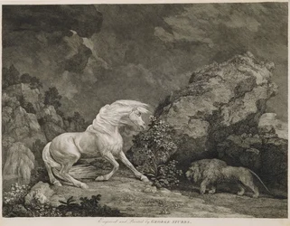 En hest forskrækket af en løve, stukket af kunstneren