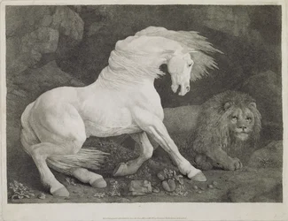 A Horse Frighted by a Lion, indgraveret af kunstneren, pub. 1788