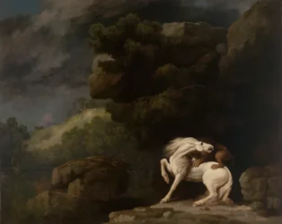En løve angriber en hest
