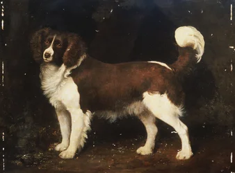 En spaniel i et landskab, 1784