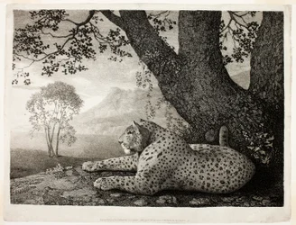 En Tyger (En liggende leopard ved et træ)