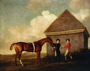 »Eclipse«, en mørk kastanjebrun væddeløbshest holdt af en staldkarl, med en jockey, muligvis Jack Oakley, ved Rubbing Down House i Newmarket, 1770