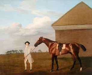 Firetail med sin træner ved Rubbing-down House på Newmarket Heath, 1773