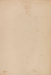 Menneskeskelet, set forfra