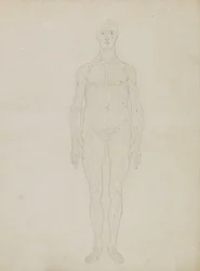 Studie af den menneskelige figur, Anterior View, fra 