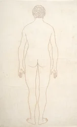 Studie af den menneskelige figur, bagfra, fra en sammenlignende anatomisk fremstilling af den menneskelige krops struktur med en tiger og en almindelig høns, ca. 1795-1806 (blæk på papir)