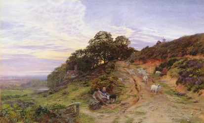 Pitch Hill nær Ewhurst