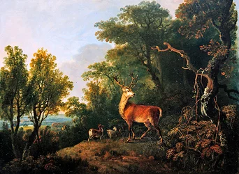 En kronhjort og tre hind i et skovklædt landskab (olie på panel)