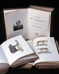 Stilleben af "Buffons komplette værker" af naturforskeren Georges Louis Leclerc, greve af Buffon (1707 - 1788). Stik fra 1837.