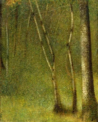 Skoven ved Pontaubert, 1881