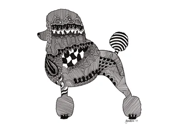Poodle, 2015 (blæk på bristolkarton)
