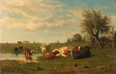 Køer i Engen