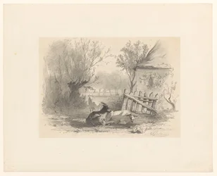 To geder og et får ved et hegn foran et hus